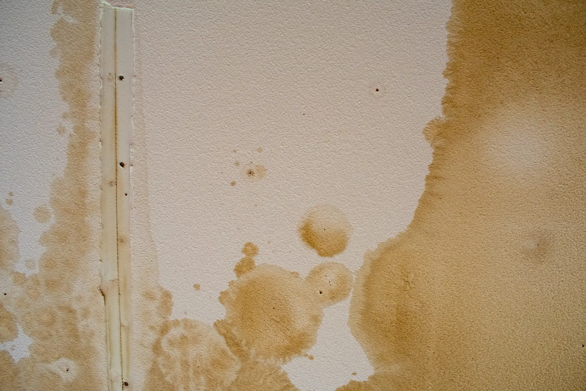 A white wall with large, irregular brown water stains and splatters, indicating water damage. A vertical plastic conduit runs along the left side of the image.